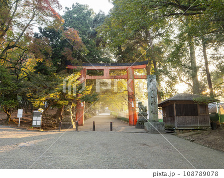 朝日が射し込む手向山八幡宮の鳥居 朝日が射し込む手向山八幡宮の鳥居 108789078