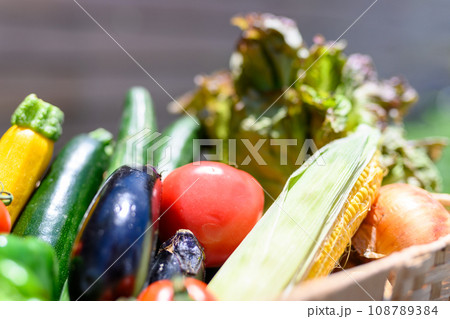 Image photo 108789384