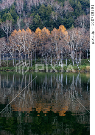 志賀高原　木戸池の晩秋の景色 108789591