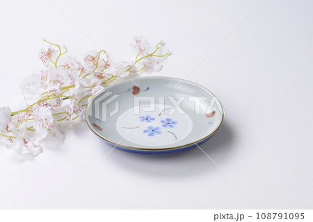 和皿 108791095