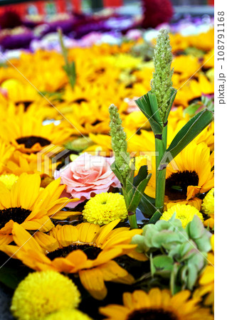 神社の手水舎に作られた秋10月の花手水　水面に浮かぶ、美しく彩り豊かでした。 108791168