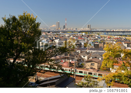 戸定ヶ丘歴史公園からの眺望、富士山も遠望、千葉県松戸市 108791801