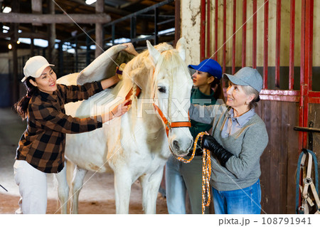 Women caring white thoroughbred horse in stable 108791941