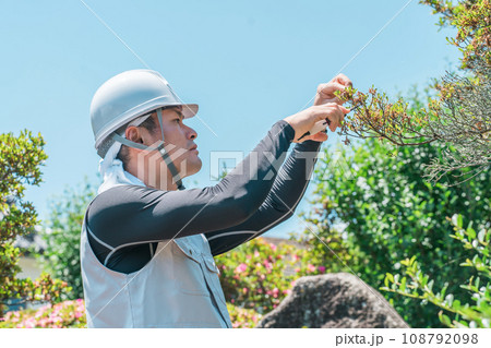 庭木を剪定する庭師・造園業・ガーデナー・植木屋・樹木屋の男性（ガーデニング） 108792098