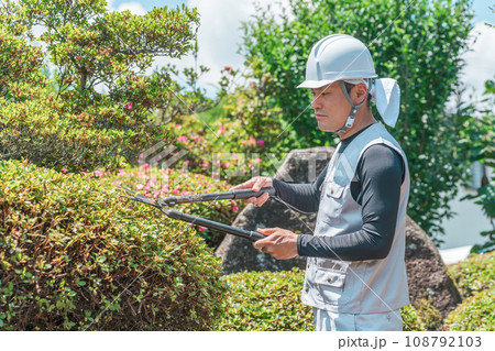 庭木を剪定する庭師・造園業・ガーデナー・植木屋・樹木屋の男性（ガーデニング） 108792103