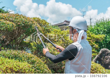 庭木を剪定する庭師・造園業・ガーデナー・植木屋・樹木屋の男性（ガーデニング） 108792106