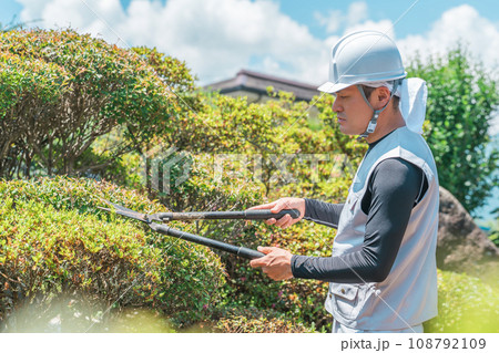 庭木を剪定する庭師・造園業・ガーデナー・植木屋・樹木屋の男性（ガーデニング） 108792109