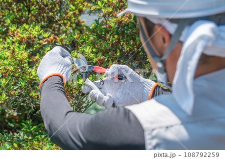 庭木を剪定する庭師・造園業・ガーデナー・植木屋・樹木屋の男性（ガーデニング） 108792259