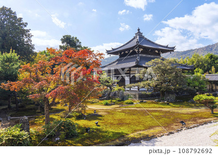 京都　鹿王院　舎利殿と枯山水庭園　紅葉の季節　 108792692