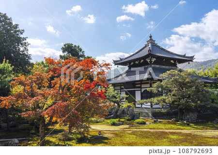 京都 鹿王院 舎利殿と枯山水庭園 紅葉の季節 京都 鹿王院 舎利殿と枯山水庭園 紅葉の季節 108792693