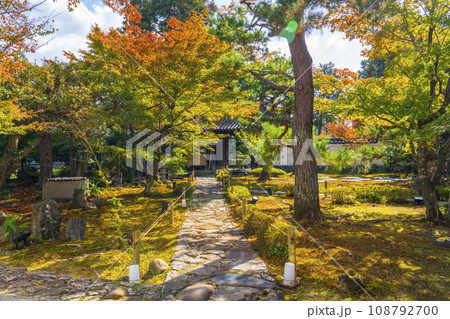 京都　鹿王院　前庭と中門　紅葉の季節 108792700