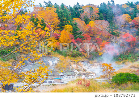 温泉地の紅葉 108792773