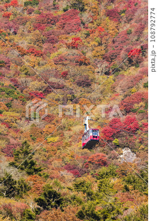 雲仙仁田峠の紅葉【長崎県雲仙市小浜町】 108792774