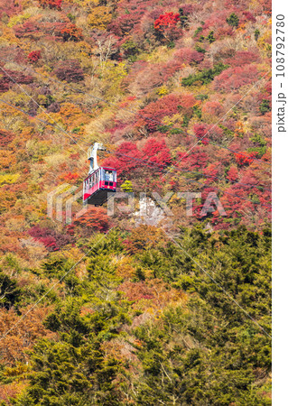 雲仙仁田峠の紅葉【長崎県雲仙市小浜町】 108792780