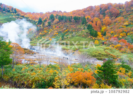 温泉地の紅葉 温泉地の紅葉 108792982
