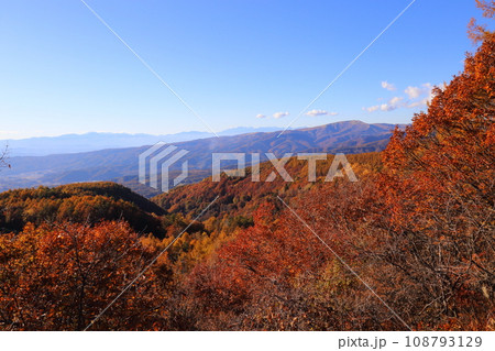 車山 を望む 【長野県茅野市の県道191号線から】 車山 を望む 【長野県茅野市の県道191号線から】 108793129