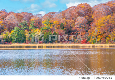 秋の八幡平大沼 秋の八幡平大沼 108793543