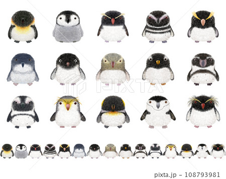 フワフワ鳥シリーズE  （ペンギン） 108793981