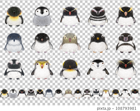 Fluffy Bird Series E (Penguin) 108793981