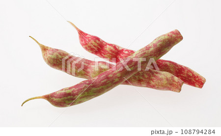 桑の木豆 伝統野菜 桑の木豆 伝統野菜 108794284