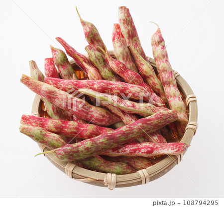 桑の木豆 伝統野菜 桑の木豆 伝統野菜 108794295