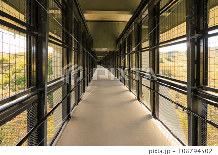 秋の紅葉見頃な名勝天竜峡 108794502