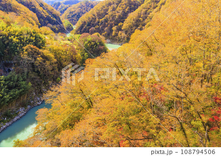 秋の紅葉見頃な名勝天竜峡 秋の紅葉見頃な名勝天竜峡 108794506