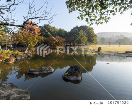 秋の奈良公園三社託宣池と春日野園地 秋の奈良公園三社託宣池と春日野園地 108794526