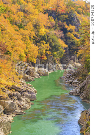 秋の紅葉見頃な名勝天竜峡 108794529