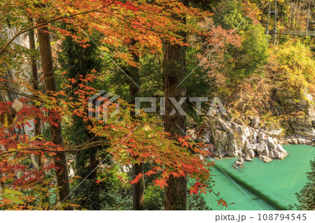 秋の紅葉見頃な名勝天竜峡 秋の紅葉見頃な名勝天竜峡 108794545