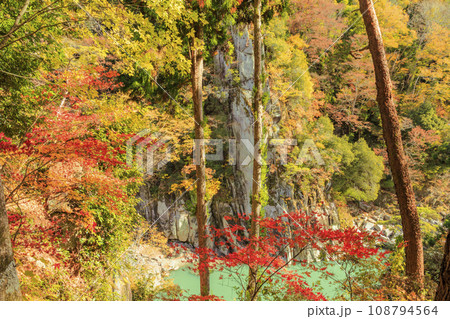 秋の紅葉見頃な名勝天竜峡 108794564