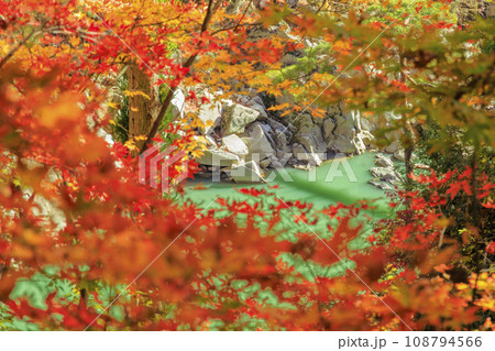 秋の紅葉見頃な名勝天竜峡 秋の紅葉見頃な名勝天竜峡 108794566