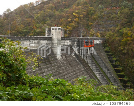 新潟県　五泉市　早出川ダム　秋 108794569