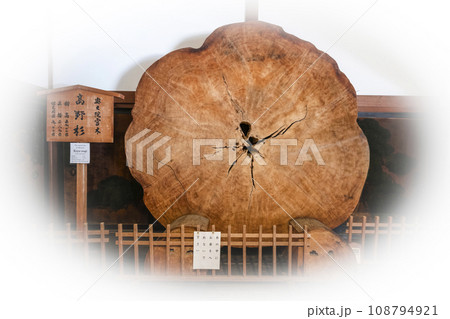 「金剛峯寺」奥之院霊木 高野杉 「金剛峯寺」奥之院霊木 高野杉 108794921
