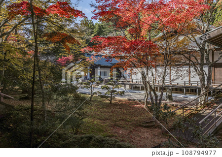 秋の高野山　金剛峯寺　庭園の紅葉 108794977