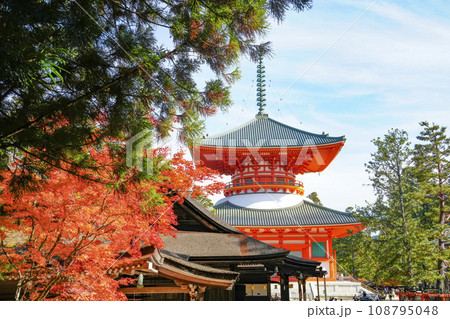 秋の高野山 壇上伽藍・根本大塔 秋の高野山 壇上伽藍・根本大塔 108795048