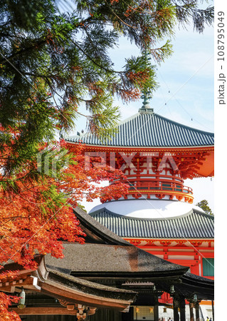 秋の高野山 壇上伽藍・根本大塔 秋の高野山 壇上伽藍・根本大塔 108795049