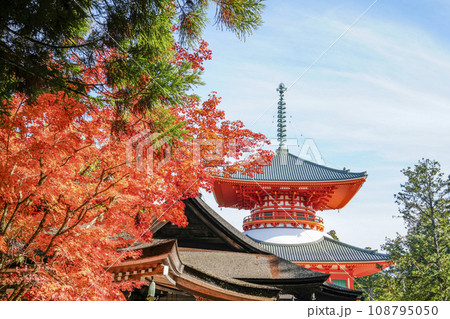 秋の高野山 壇上伽藍・根本大塔 秋の高野山 壇上伽藍・根本大塔 108795050