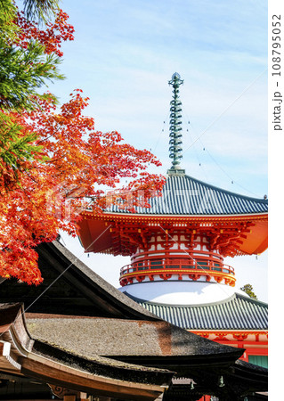 秋の高野山　壇上伽藍・根本大塔 108795052