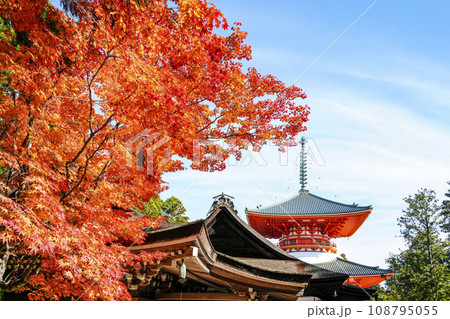 秋の高野山　壇上伽藍・根本大塔 108795055