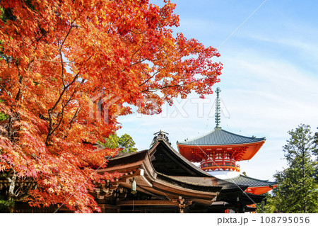 秋の高野山 壇上伽藍・根本大塔 秋の高野山 壇上伽藍・根本大塔 108795056