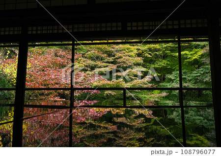 京都八瀬　瑠璃光院　紅葉 108796077