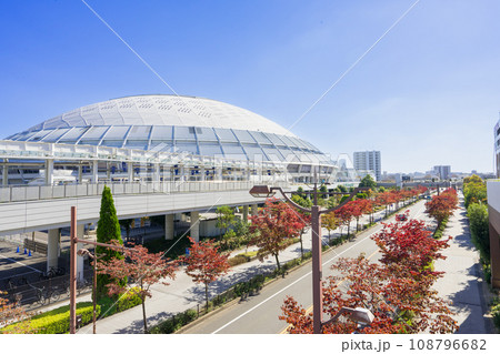 秋のバンテリンドームナゴヤ ナゴヤドーム 108796682