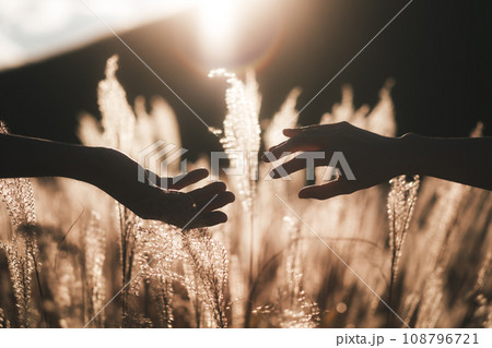 ボディパーツ　シルエット　手　カップル 108796721