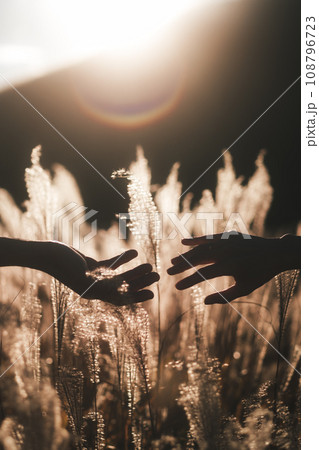 ボディパーツ　シルエット　手　カップル 108796723