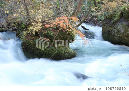 奥入瀬渓流 奥入瀬渓流 108796810