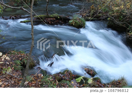奥入瀬渓流 108796812