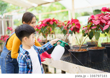 Happy Asian woman and little boy planting a house plants in green house together. Satisfied little boy enjoy planting and watering a small tree with his mother in greenhouse. Happy Asian woman and little boy planting a house plants in green house together. Satisfied little boy enjoy planting and watering a small tree with his mother in greenhouse. 108797183
