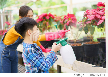 Happy Asian woman and little boy planting a house plants in green house together. Satisfied little boy enjoy planting and watering a small tree with his mother in greenhouse. Happy Asian woman and little boy planting a house plants in green house together. Satisfied little boy enjoy planting and watering a small tree with his mother in greenhouse. 108797184