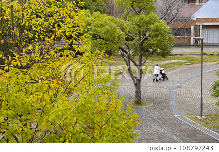 団地の秋の公園の風景、秋の住宅街の紅葉の風景 108797243